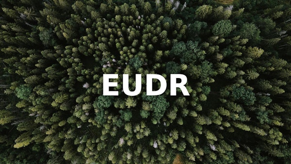Een bos vanaf boven gefotografeerd