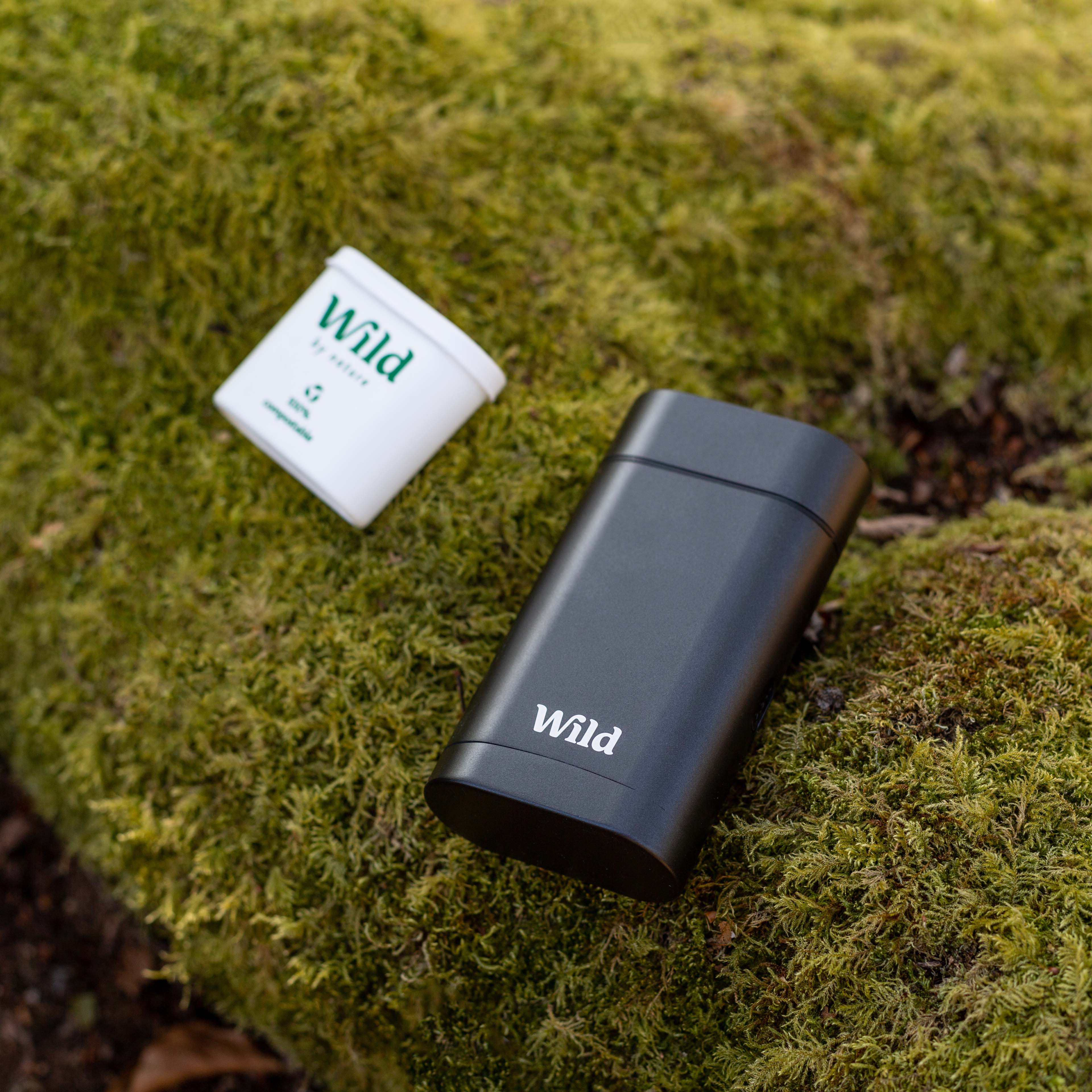Get 25 off and help plant 100 000 trees this Black Friday