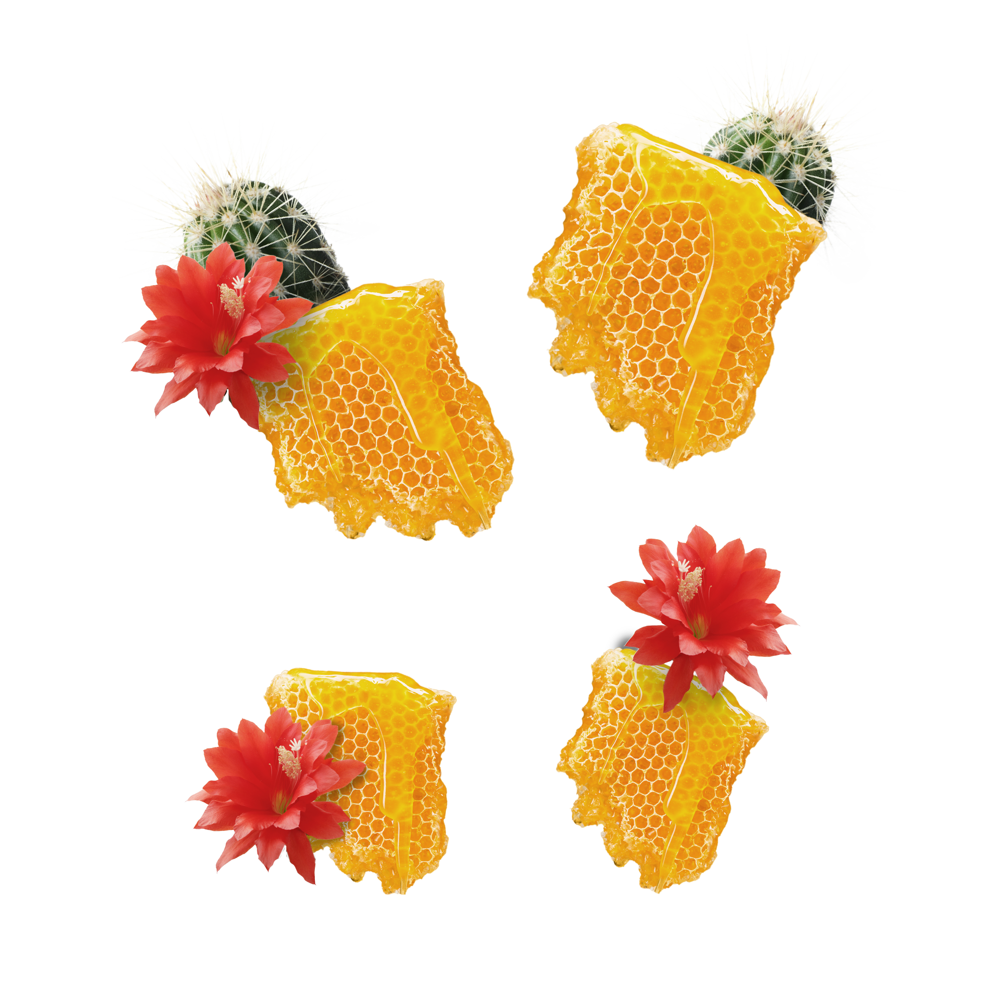 Caption: four pieces of honeycomb with a cactus in the middle