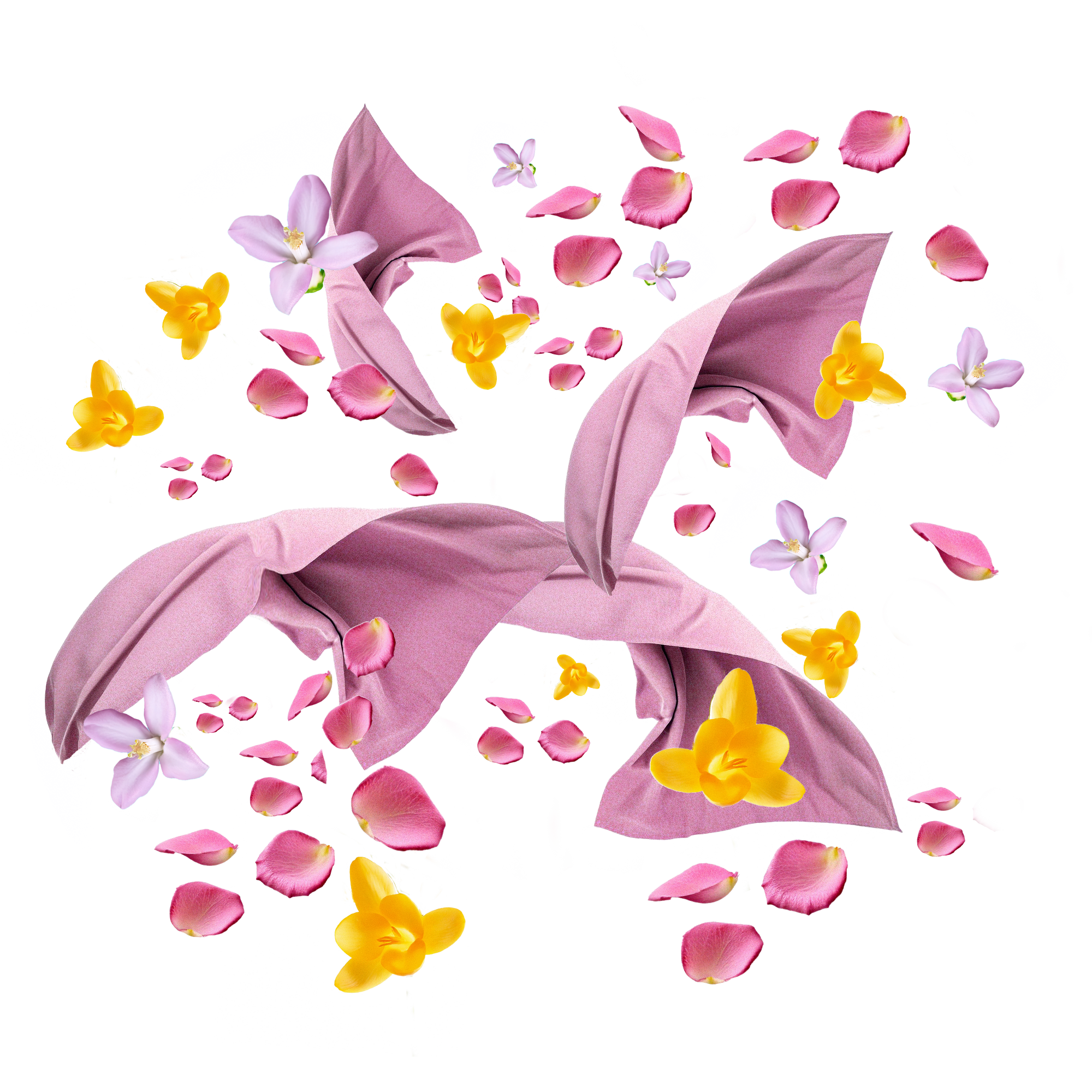 Scent