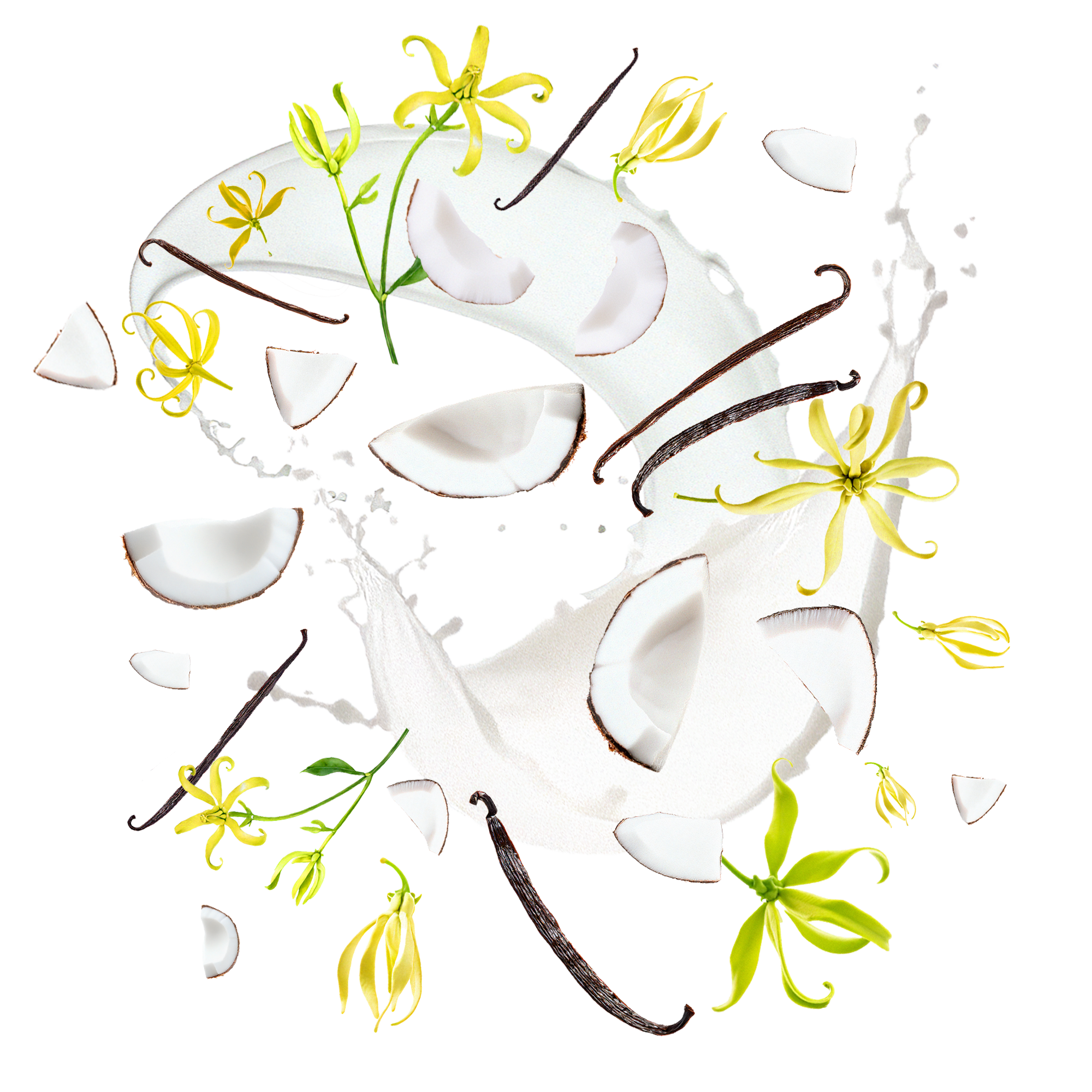 Scent