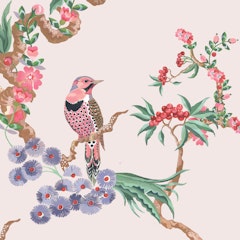 Birds & Berries case design