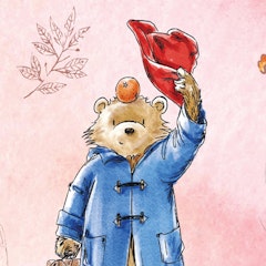 Paddington case design