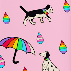 Pride case design