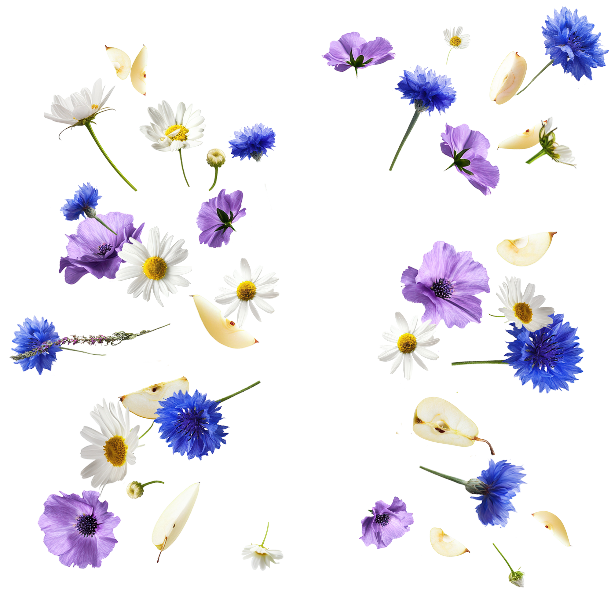 Légende : un bouquet de fleurs sur une surface blanche