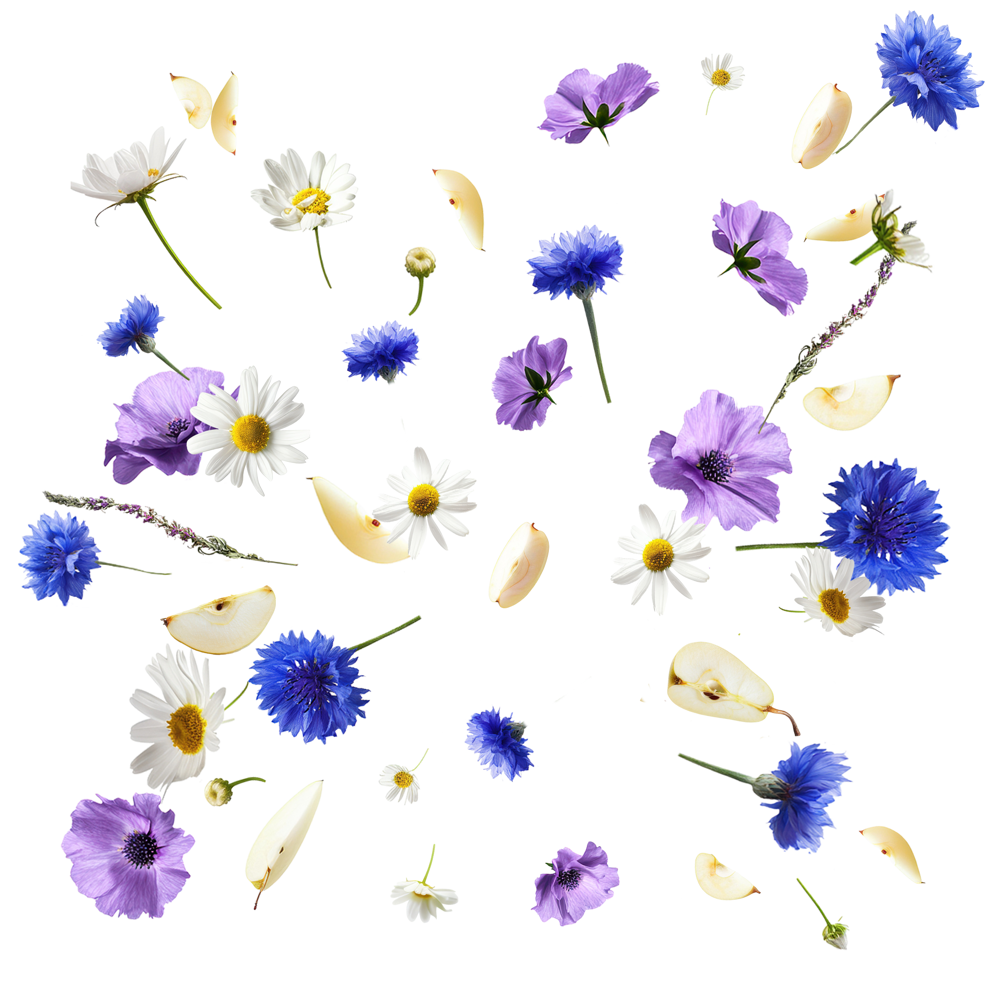 Caption: a bunch of flowers that are in the air