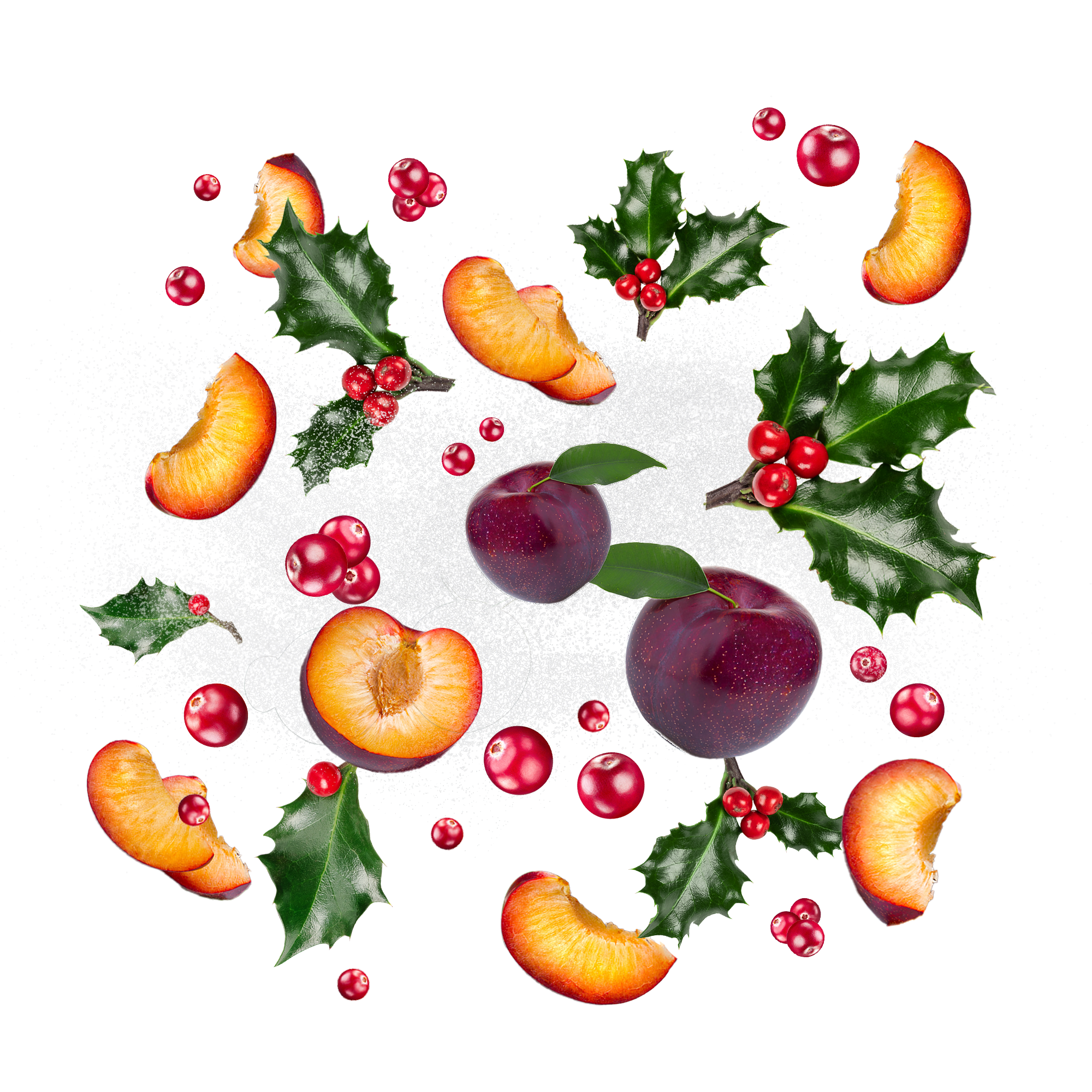 Caption: a drawing of fruit and holly on a white background