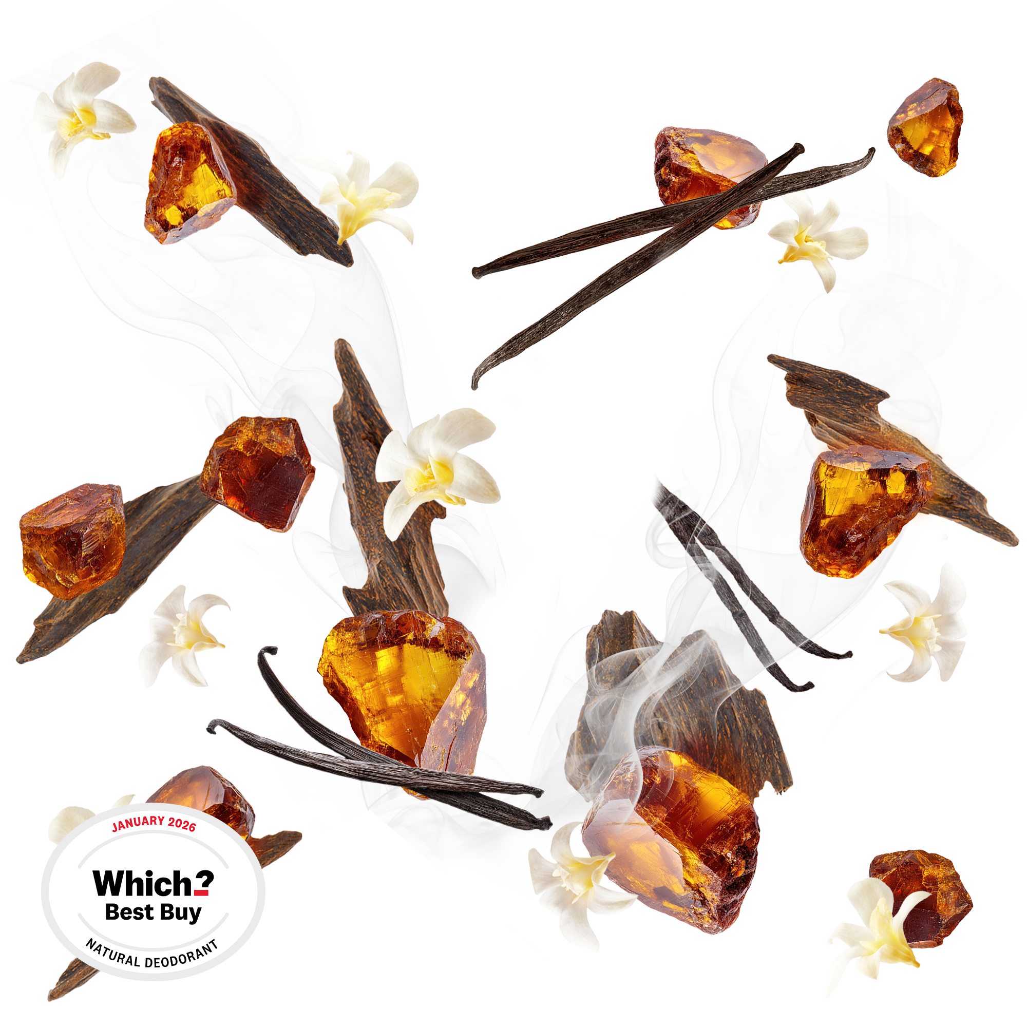 Caption: a bunch of flowers that are on a branch