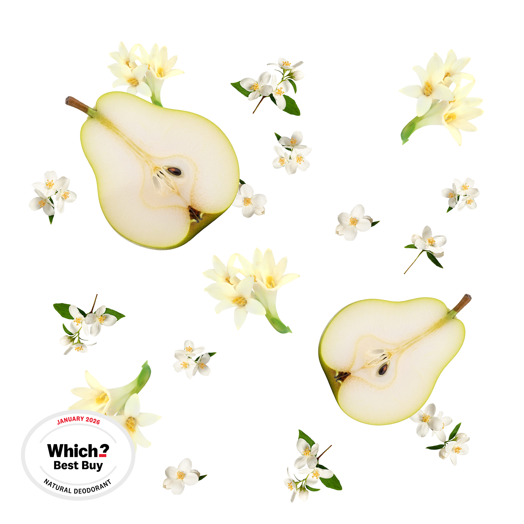 Caption: a picture of some white flowers and an apple