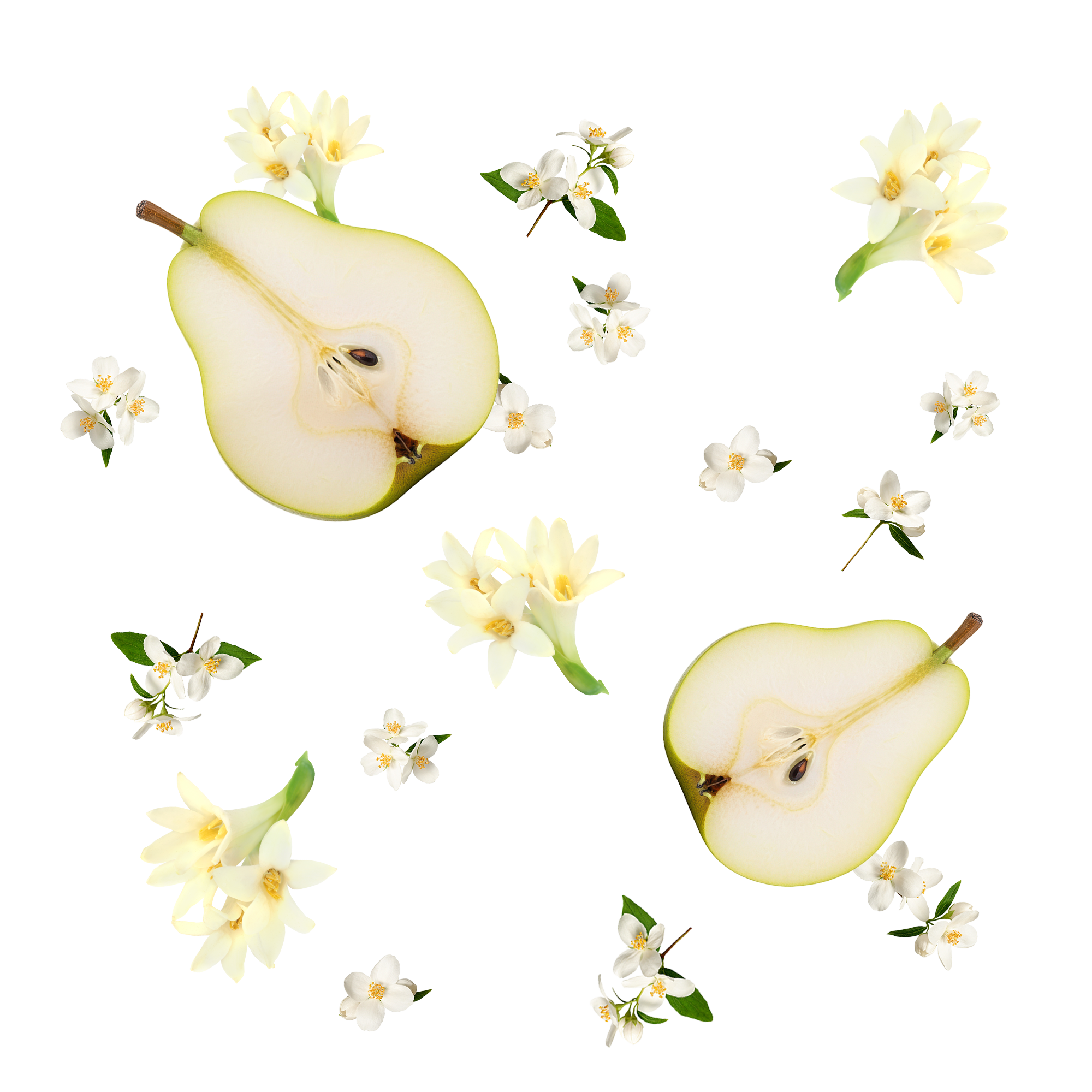 Caption: an apple cut in half with flowers and leaves