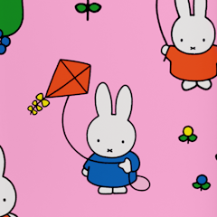 Miffy case design
