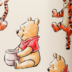 Disney Winnie the Pooh case design