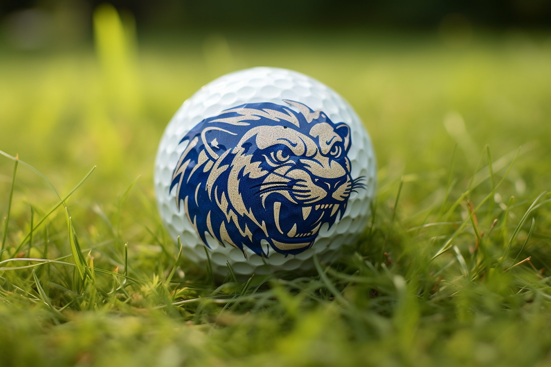 Detroit Lions Golf Ball