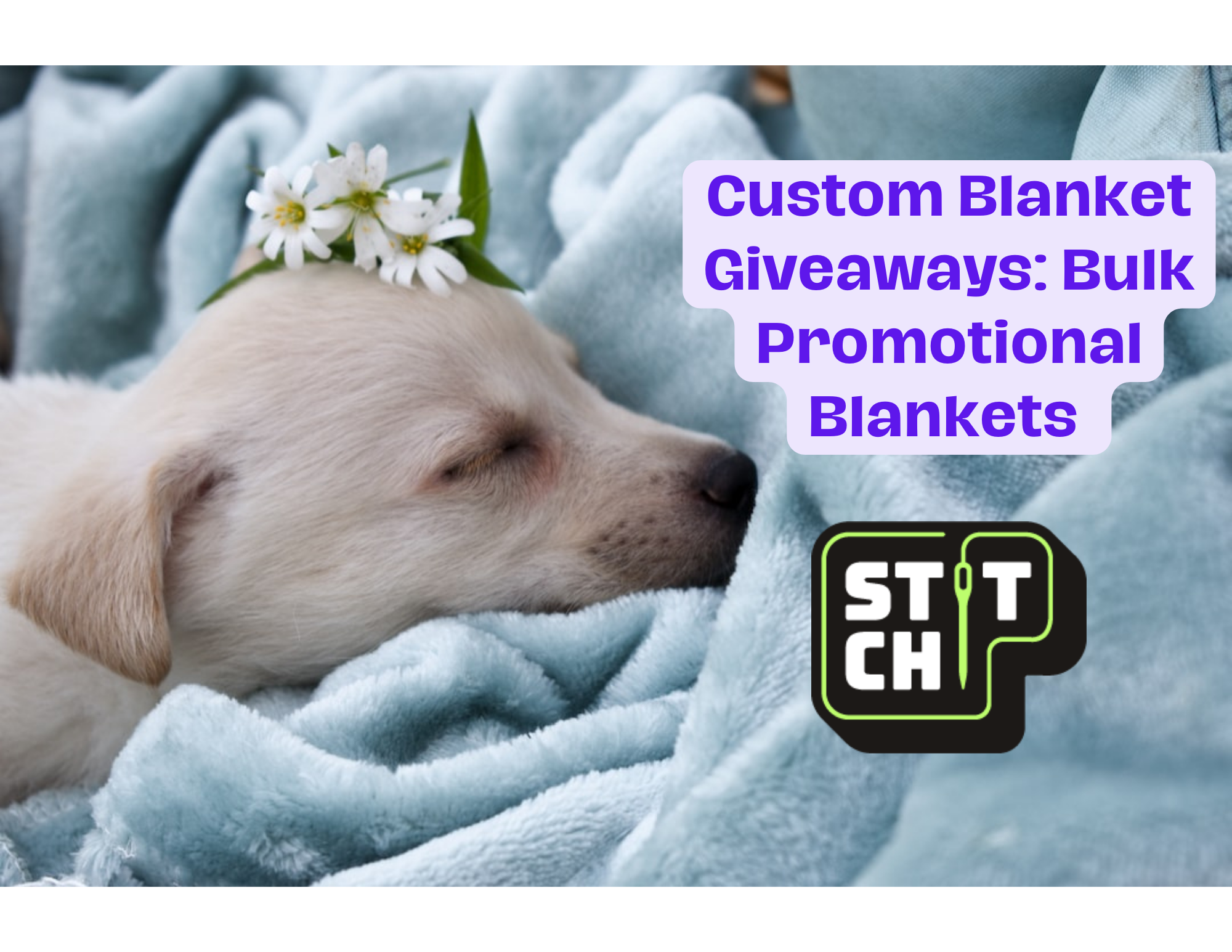 Blanket Giveaways, Promotional Blankets, branded blankets, corporate branded blankets