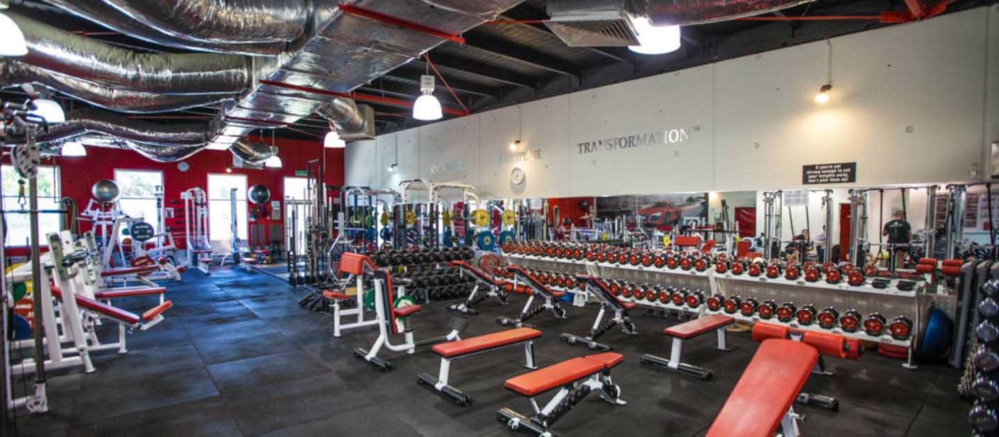 Inside Shredded Health