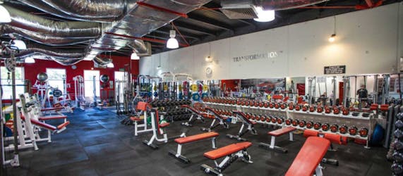 Inside Shredded Health