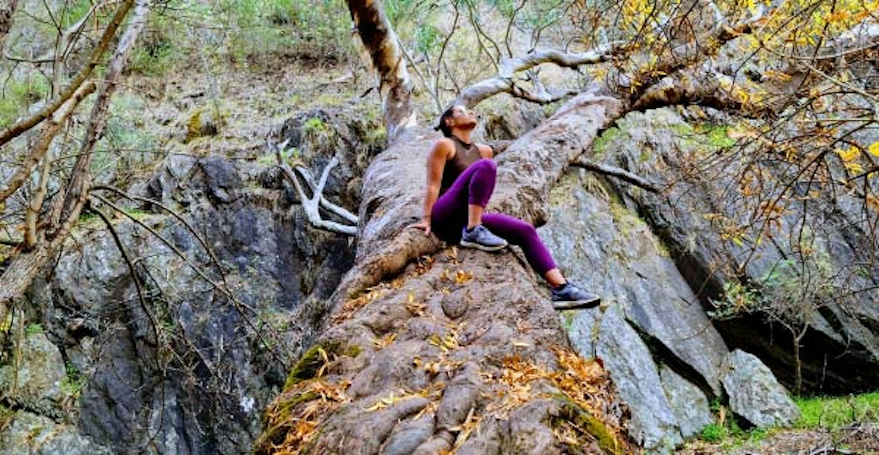 Trisha Lindgren Success Story 2