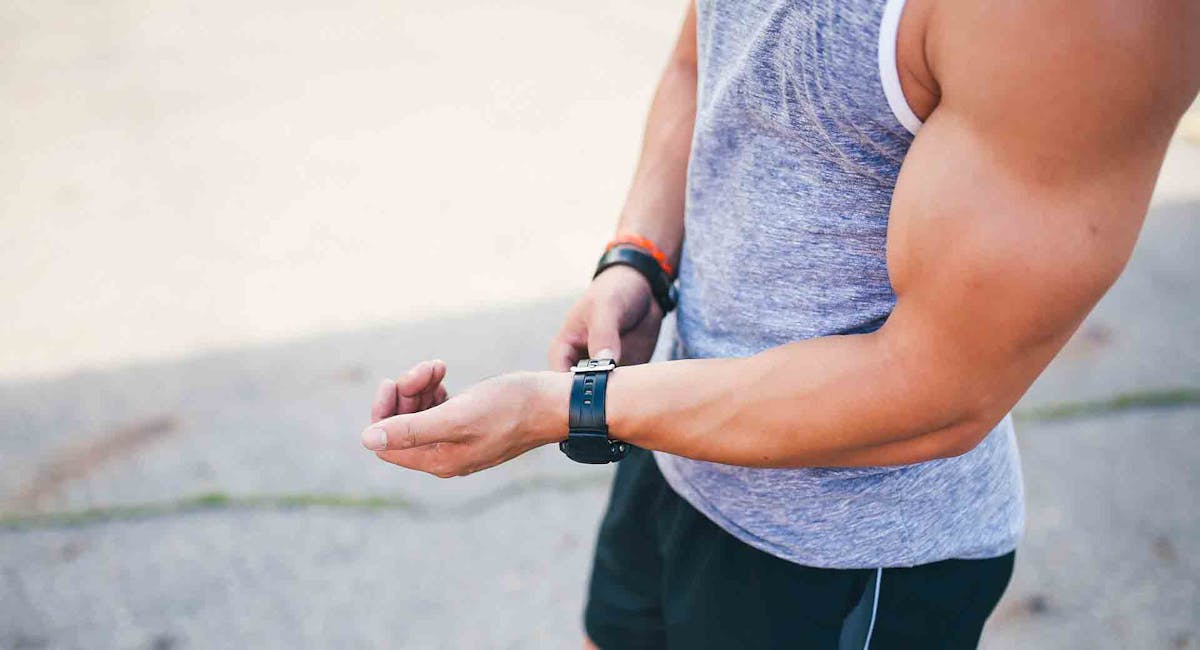 muscle-building | AIPT