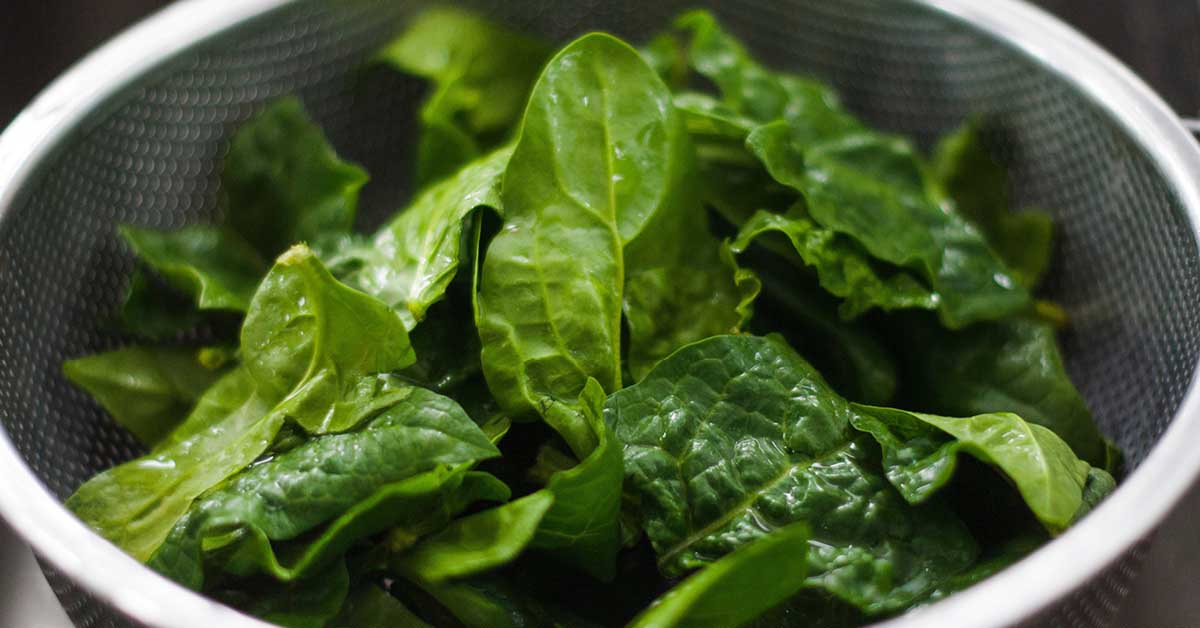 High protein vegan foods