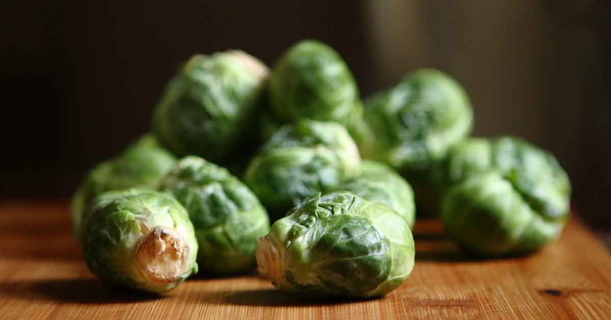 high fiber foods