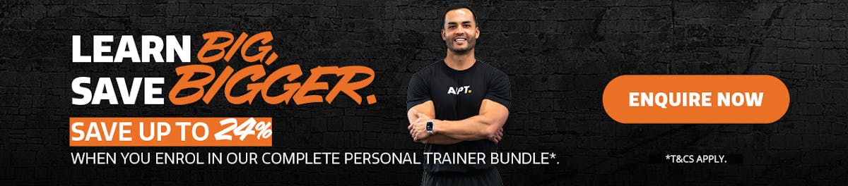 AIPT-maybundle-desktop