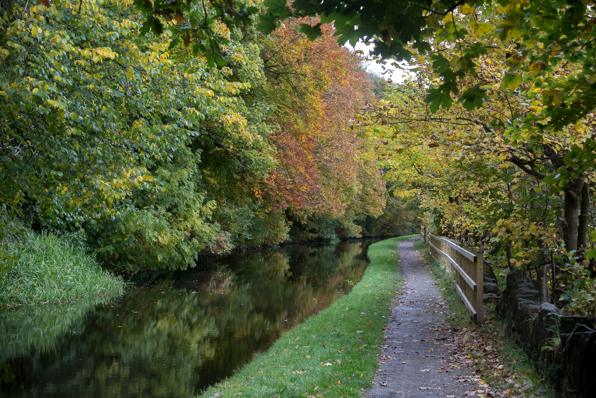 Sowerby Bridge Canal Picture 2