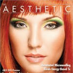 The Aesthetic Guide November/December 2012