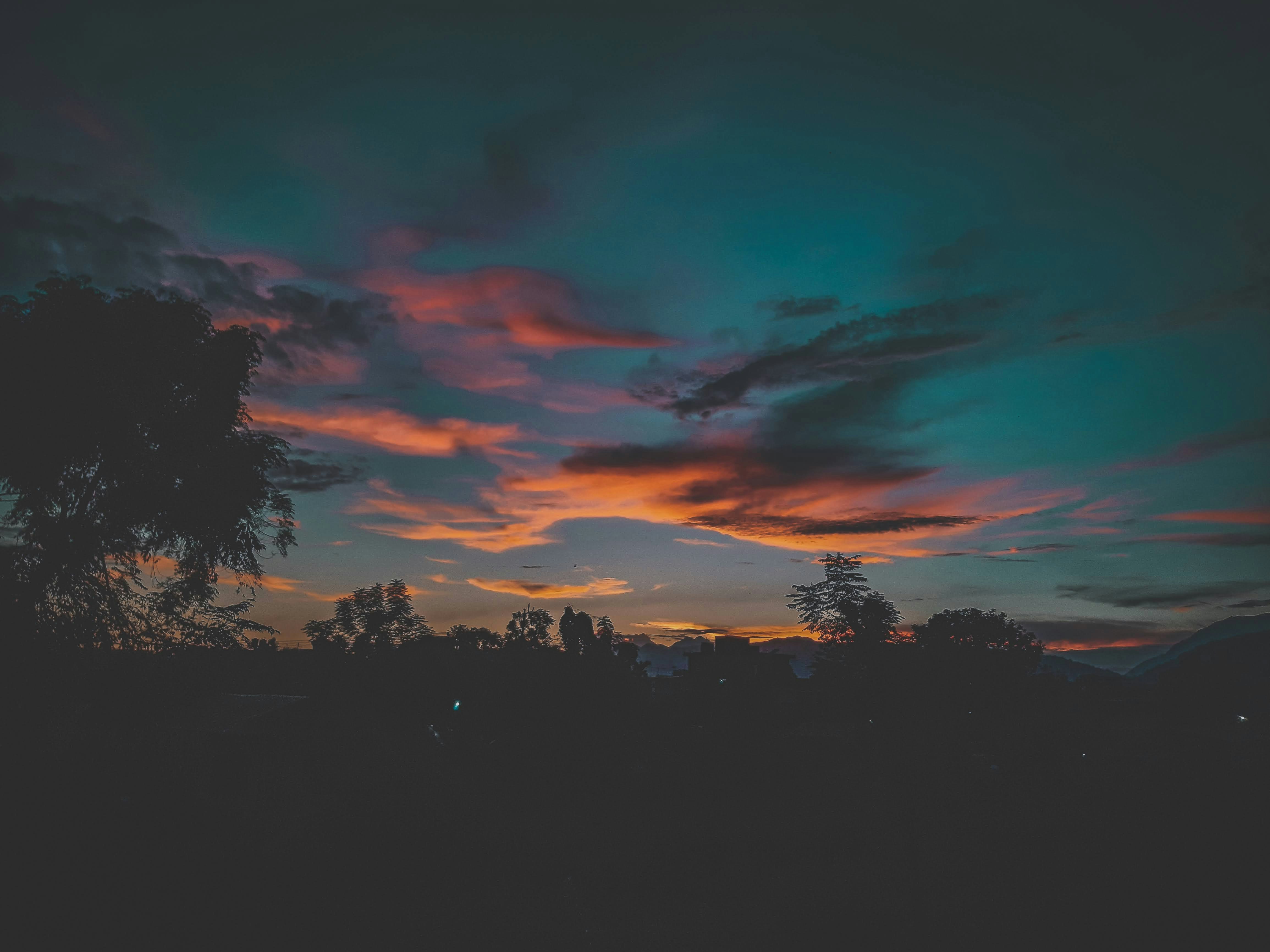 Sunset Wonder Dragon sculpture