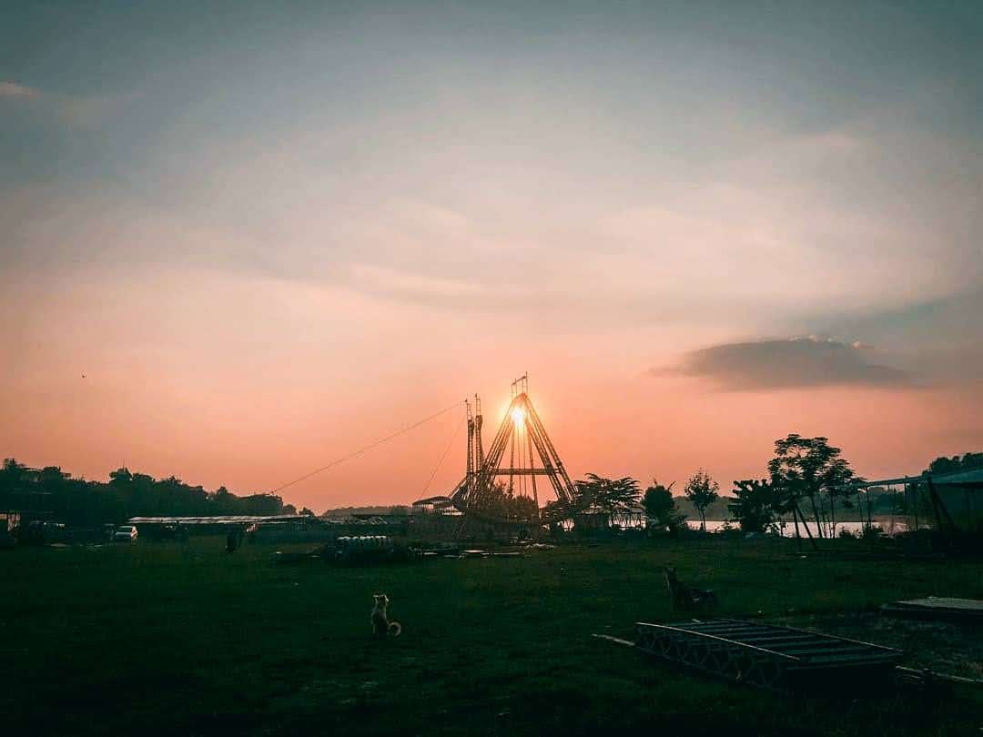 Warmth of Narayani Sakura blossoms in spring