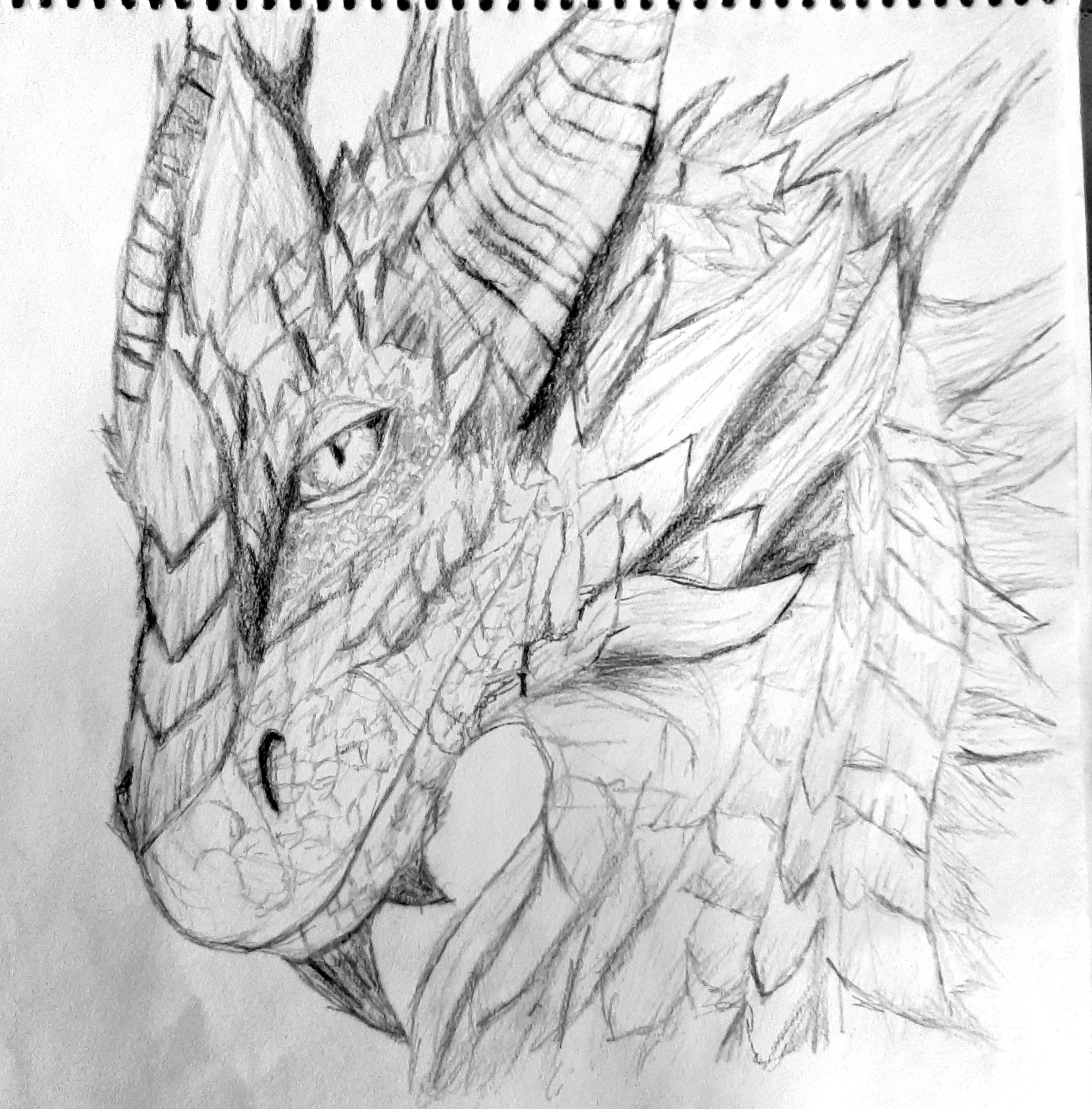 Dragon Sketch Narayani sunset