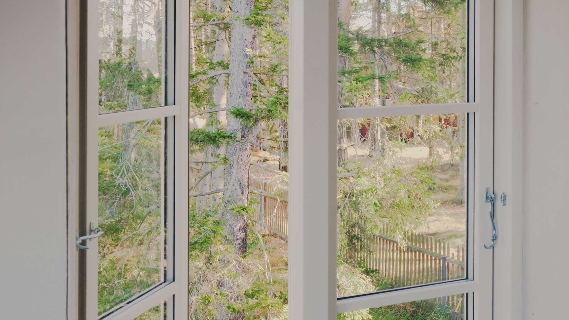 Open cottage window with a forest view