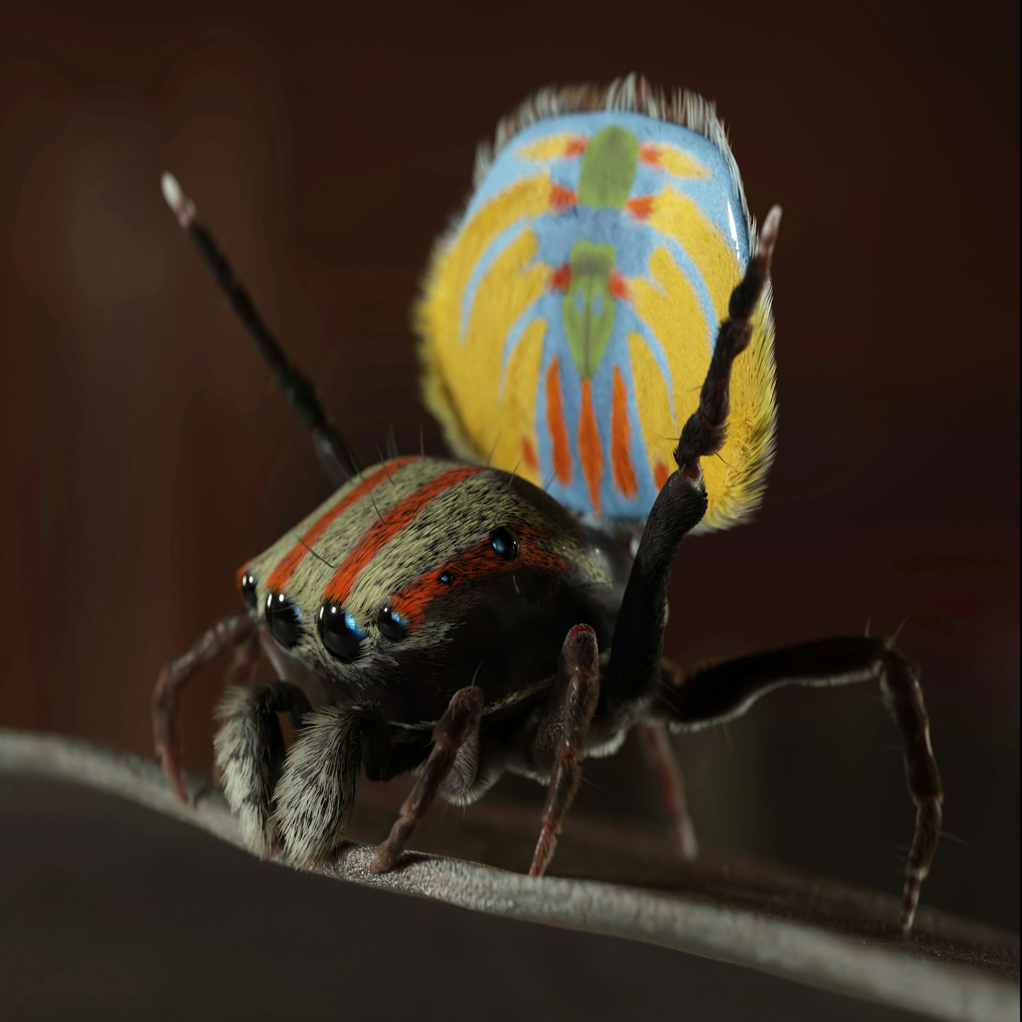 Sparklemuffin Spider | Scott Wood