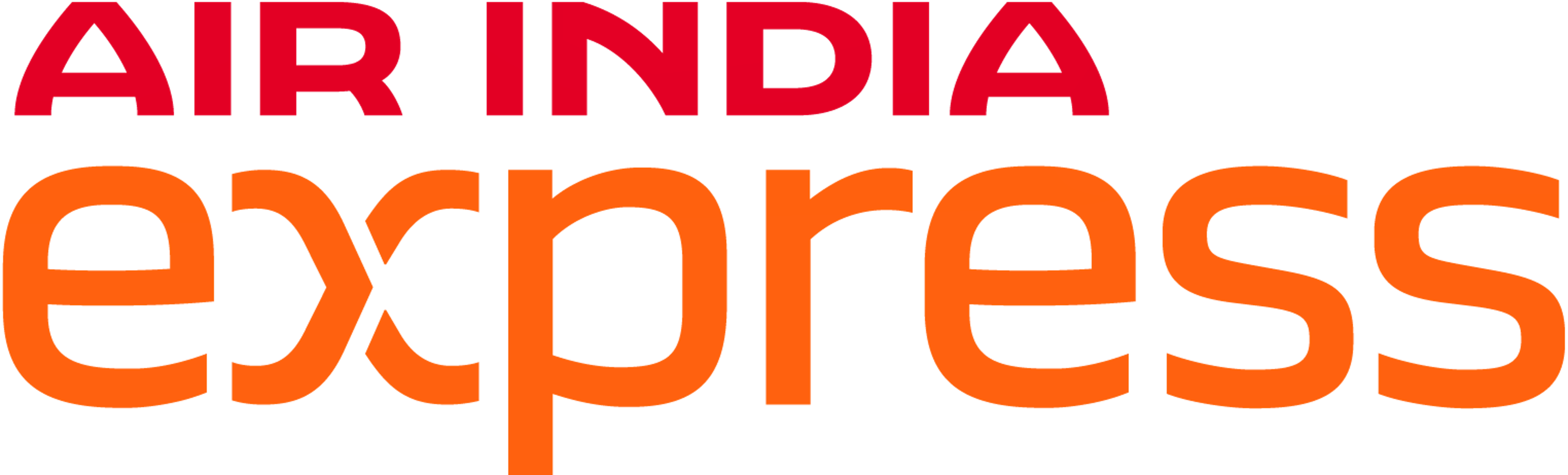 Airline footer logo