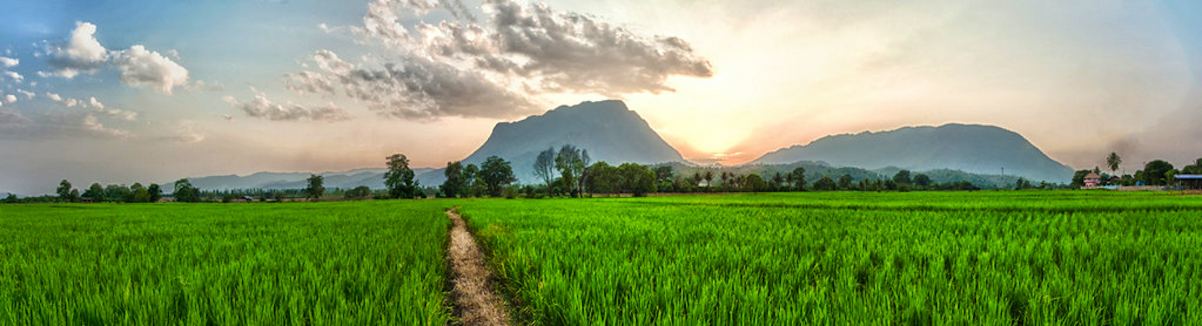 Chiang Mai