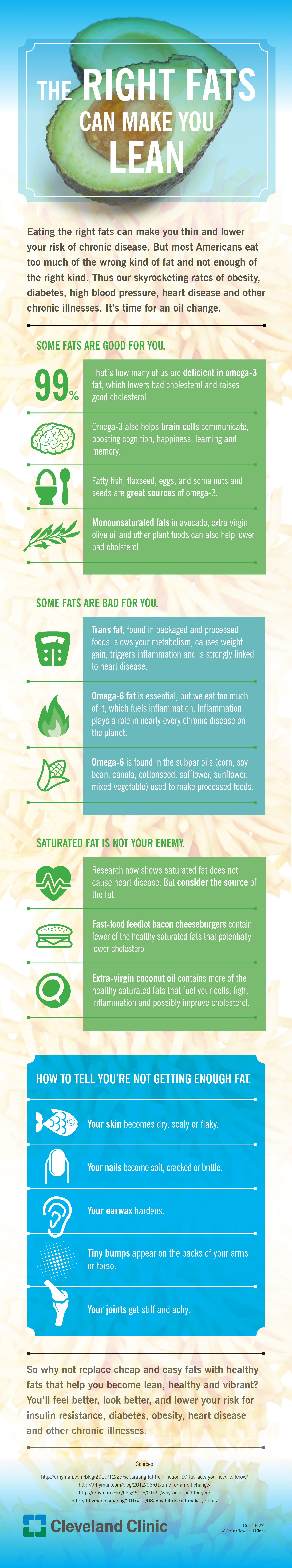 16-HHB-223-Good-Fats-Infographic_04.12.2016_FINAL