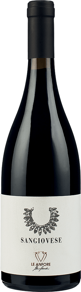 Bottiglia di Sangiovese, Le Anfore di Elena Casadei