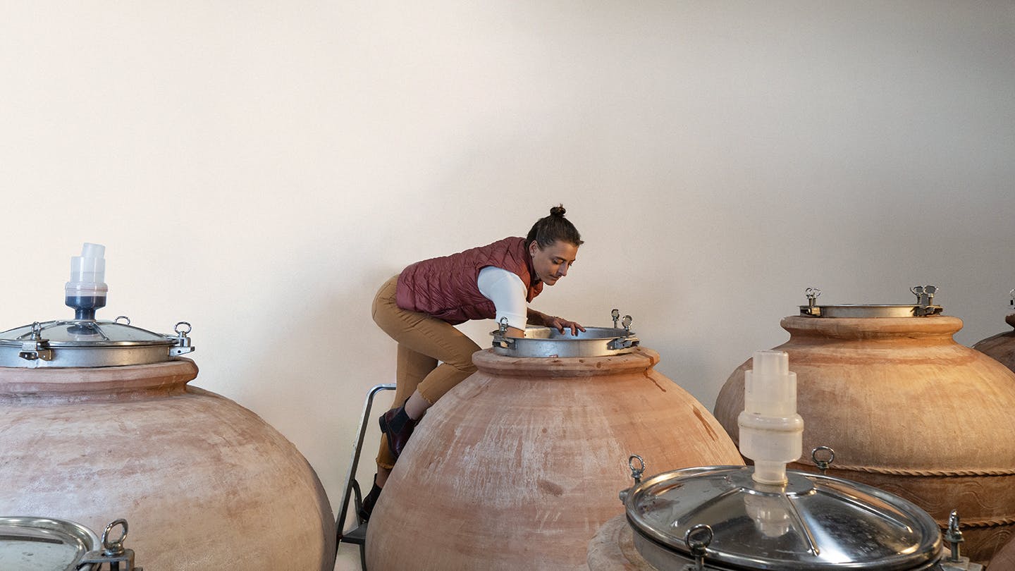 Elena Casadei Elena Casadei