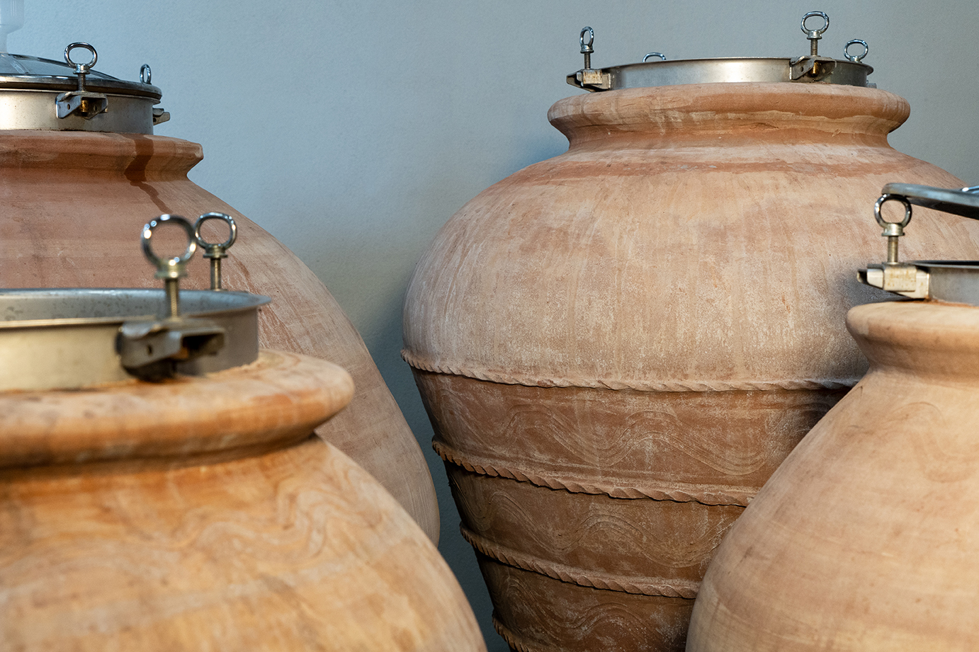 Finest Terracotta Amphora Wine | Le Anfore Elena Casadei