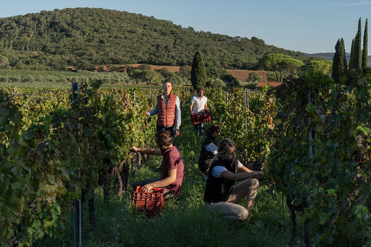 Elena Casadei in vigna