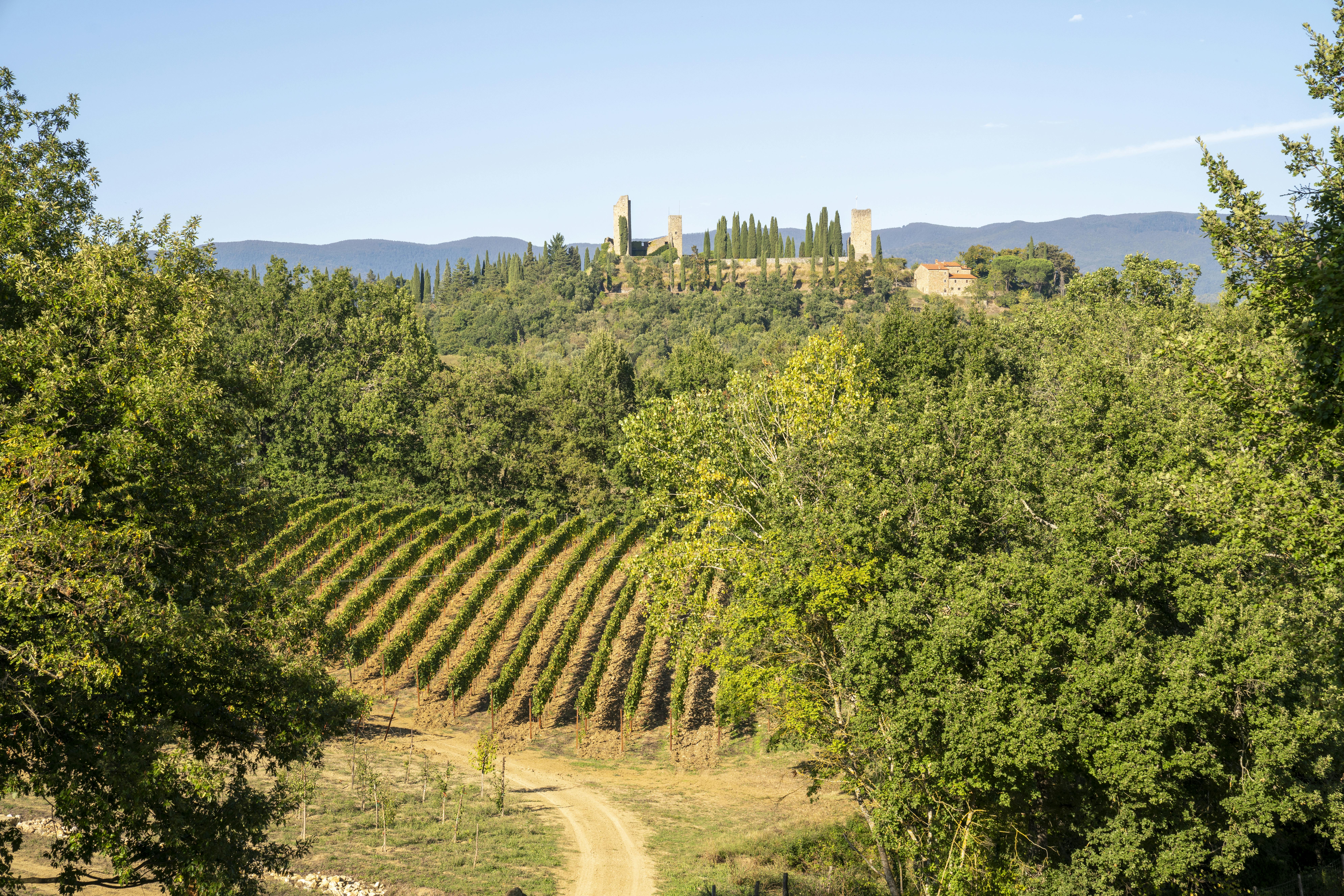 Terre di Romena