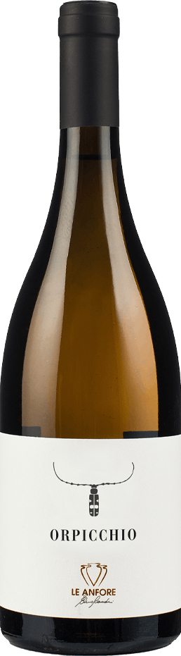 Orpicchio