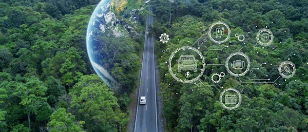 auto duurzaamheid bomen