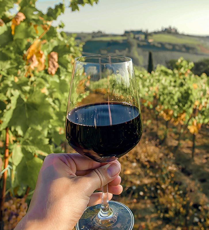 Vino Rosso