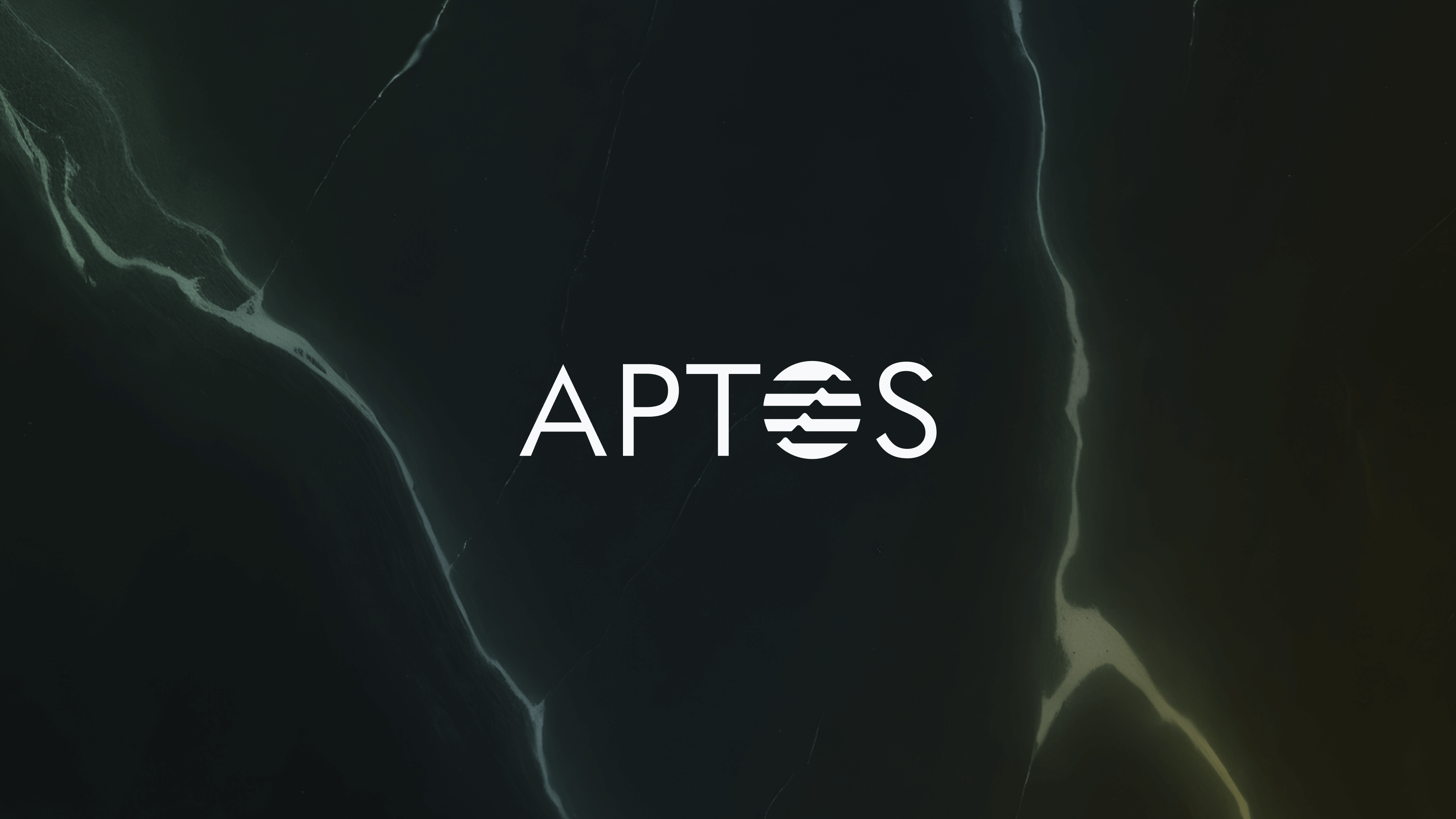 The Investment Case for Aptos (APT) | Bitwise Investments