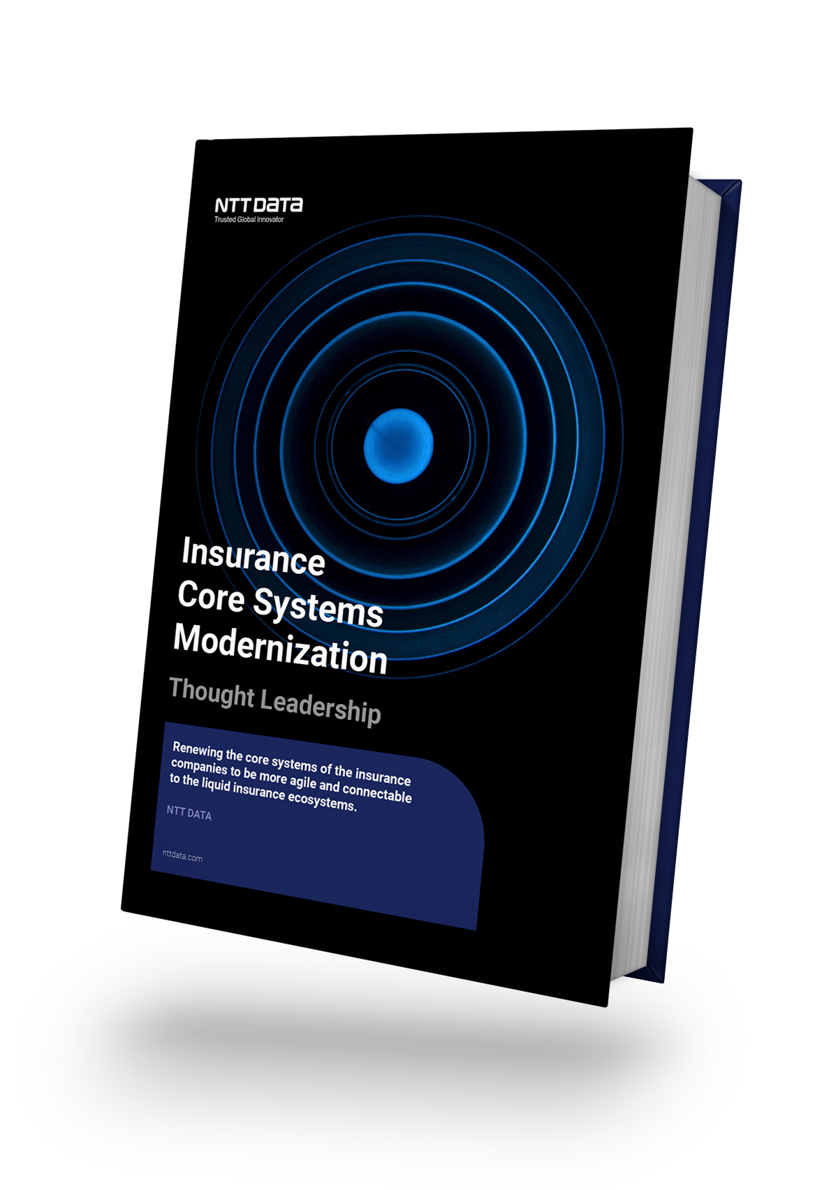 Insurance Core Systems Modernization NTT DATA Insurance