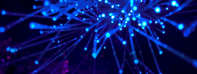purple and blue light digital wallpaper