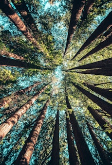 ESG AS THE WAY FORWARD