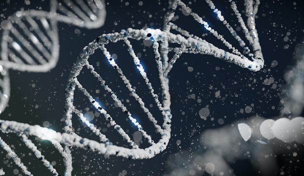 a close up of a structure of a structure