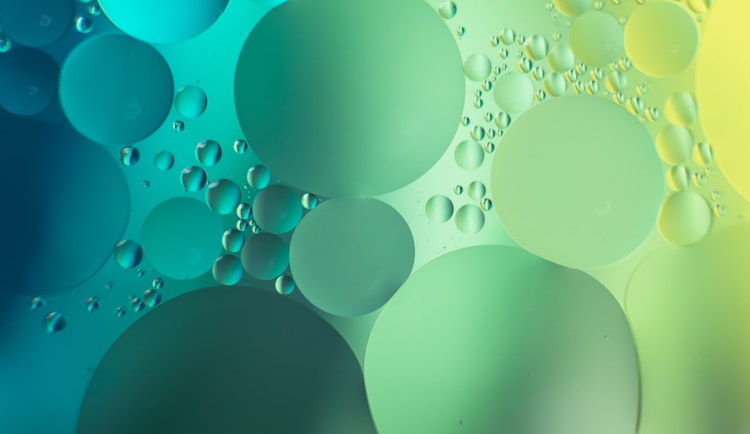 blue and white polka dot illustration