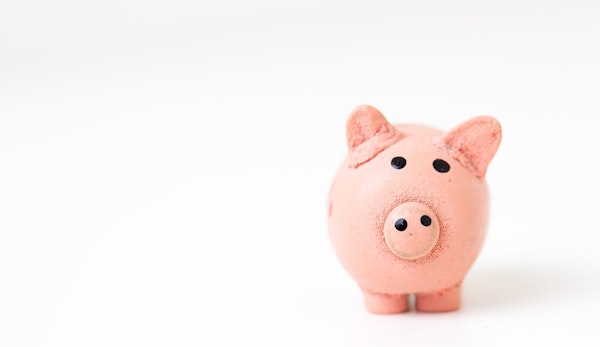 pink pig figurine on white surface